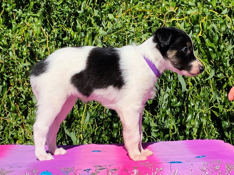 5 weeks - Girl 2 right